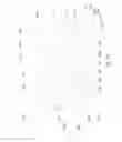 Fig. 41 - Apparatus for Maintaining Tension in a Vertically Positioned Horizontally Traversing Plastic Film Web