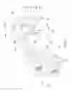 Fig. 04 - Undulating Plastic Film Supporting and Aligning Apparatus