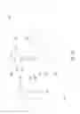 Fig. 18 - Undulating Plastic Film Supporting and Aligning Apparatus