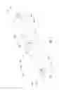 Fig. 20 - Undulating Plastic Film Supporting and Aligning Apparatus