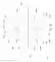 Fig. 42 - Undulating Plastic Film Supporting and Aligning Apparatus