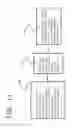 Fig. 10 - Crown cap closure and closure method