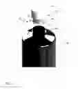 Fig. 02 - Filter cap assembly including protective baffle and method of use