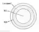 Fig. 01 - Method of carbon coating on nanoparticle and carbon coated nanoparticle produced by the same