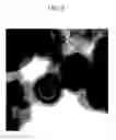 Fig. 06 - Method of carbon coating on nanoparticle and carbon coated nanoparticle produced by the same
