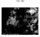 Fig. 100 - Method of carbon coating on nanoparticle and carbon coated nanoparticle produced by the same
