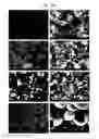 Fig. 17 - Method of carbon coating on nanoparticle and carbon coated nanoparticle produced by the same