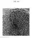 Fig. 26 - Method of carbon coating on nanoparticle and carbon coated nanoparticle produced by the same