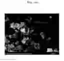 Fig. 35 - Method of carbon coating on nanoparticle and carbon coated nanoparticle produced by the same