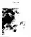 Fig. 48 - Method of carbon coating on nanoparticle and carbon coated nanoparticle produced by the same