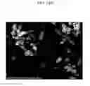 Fig. 55 - Method of carbon coating on nanoparticle and carbon coated nanoparticle produced by the same
