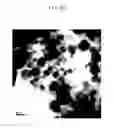 Fig. 59 - Method of carbon coating on nanoparticle and carbon coated nanoparticle produced by the same