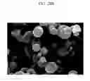 Fig. 66 - Method of carbon coating on nanoparticle and carbon coated nanoparticle produced by the same