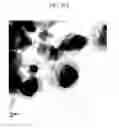 Fig. 94 - Method of carbon coating on nanoparticle and carbon coated nanoparticle produced by the same