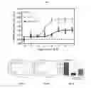 Fig. 04 - Serotonin receptor-targeting compounds and methods