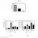Fig. 05 - Serotonin receptor-targeting compounds and methods