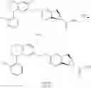 Fig. 96 - Antidiabetic tricyclic compounds
