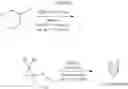 Fig. 05 - Propellane derivates and synthesis