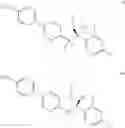 Fig. 35 - Antifungal compound process