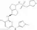 Fig. 43 - SUBSTITUTED HETEROARYL COMPOUNDS AND METHODS OF USE
