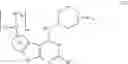 Fig. 25 - IRAK inhibitors and uses thereof