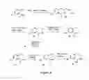 Fig. 04 - Benzoxazepin PI3K inhibitor compounds and methods of use