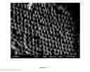 Fig. 06 - Mesoscopic materials comprised of ordered superlattices of microporous metal-organic frameworks