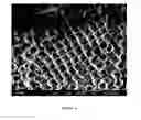 Fig. 09 - Mesoscopic materials comprised of ordered superlattices of microporous metal-organic frameworks