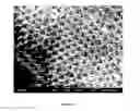 Fig. 13 - Mesoscopic materials comprised of ordered superlattices of microporous metal-organic frameworks
