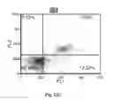 Fig. 22 - Pt (IV) derivatives and nanocarriers comprising them