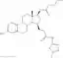 Fig. 34 - Therapeutically active estratrienthiazole derivatives as inhibitors of 17.beta-hydroxy-steroid dehydrogenase, type 1