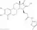 Fig. 145 - Therapeutically active 17-nitrogen substituted estratreinthiazole derivatives as inhibitors of 17β-hydroxysteroid dehydrogenase