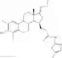 Fig. 182 - Therapeutically active 17-nitrogen substituted estratreinthiazole derivatives as inhibitors of 17β-hydroxysteroid dehydrogenase
