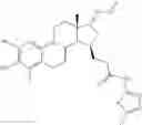 Fig. 192 - Therapeutically active 17-nitrogen substituted estratreinthiazole derivatives as inhibitors of 17β-hydroxysteroid dehydrogenase