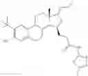 Fig. 40 - Therapeutically active 17-nitrogen substituted estratreinthiazole derivatives as inhibitors of 17β-hydroxysteroid dehydrogenase