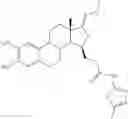 Fig. 41 - Therapeutically active 17-nitrogen substituted estratreinthiazole derivatives as inhibitors of 17β-hydroxysteroid dehydrogenase