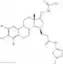 Fig. 77 - Therapeutically active 17-nitrogen substituted estratreinthiazole derivatives as inhibitors of 17β-hydroxysteroid dehydrogenase