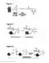 Fig. 04 - Chemically modifying peptides
