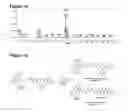 Fig. 06 - Chemically modifying peptides