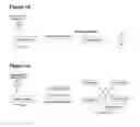Fig. 08 - Chemically modifying peptides