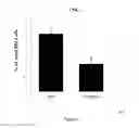 Fig. 04 - Novel Peptides for Preventing or Treating Bone Diseases and Use Thereof