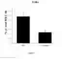 Fig. 04 - Peptides for preventing or treating bone diseases and use thereof