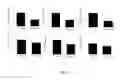 Fig. 06 - Peptides for preventing or treating bone diseases and use thereof