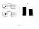 Fig. 10 - Peptides for preventing or treating bone diseases and use thereof