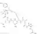 Fig. 60 - Peptides as oxytocin agonists