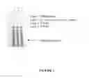 Fig. 03 - Fluorescent and colored proteins and methods for using them
