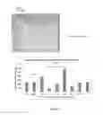 Fig. 12 - Fluorescent and colored proteins and methods for using them