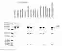 Fig. 14 - Expression of chimeric KSAC protein and method of producing soluble proteins by high pressure