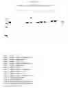 Fig. 23 - Expression of chimeric KSAC protein and method of producing soluble proteins by high pressure
