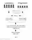 Fig. 03 - TREATING HUMAN IMMUNODEFICIENCY VIRUS INFECTIONS